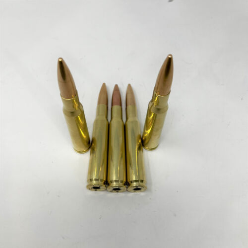 .50 BMG SNAP CAPS DUMMY TRAINING ROUNDS REAL WEIGHT QTY 1